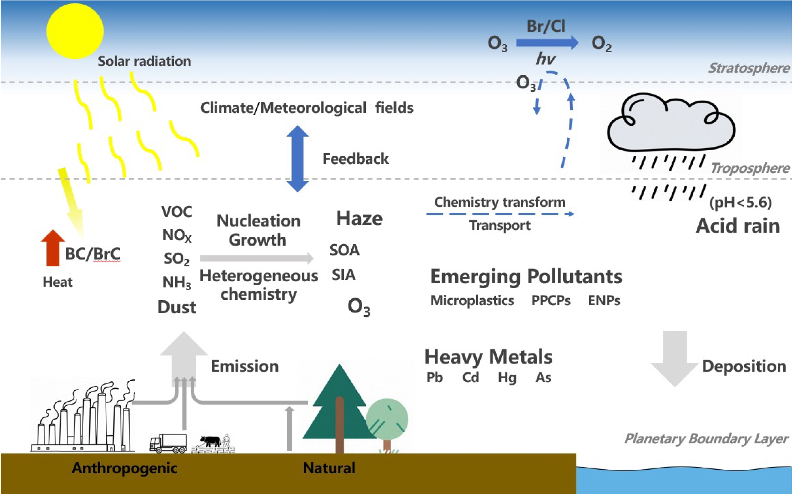 Advances and Perspectives in Atmospheric Environment Modeling in China